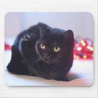 Cat Mousepad Muismat