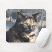 Cat. Muismat (Met muis)