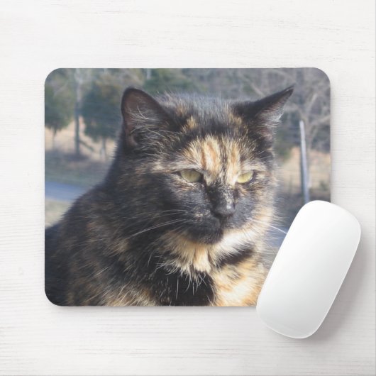 Cat. Muismat (Met muis)