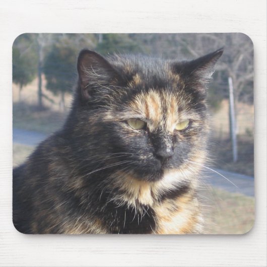 Cat. Muismat (Voorkant)