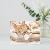 Cat Nap Briefkaart (Staand voorkant)