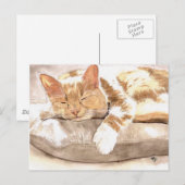 Cat Nap Briefkaart (Voorkant / Achterkant)