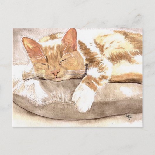 Cat Nap Briefkaart (Voorkant)