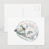 Cat Nap Briefkaart (Voorkant / Achterkant)