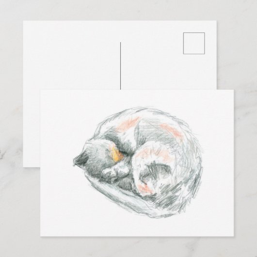 Cat Nap Briefkaart (Voorkant / Achterkant)