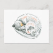 Cat Nap Briefkaart (Voorkant)