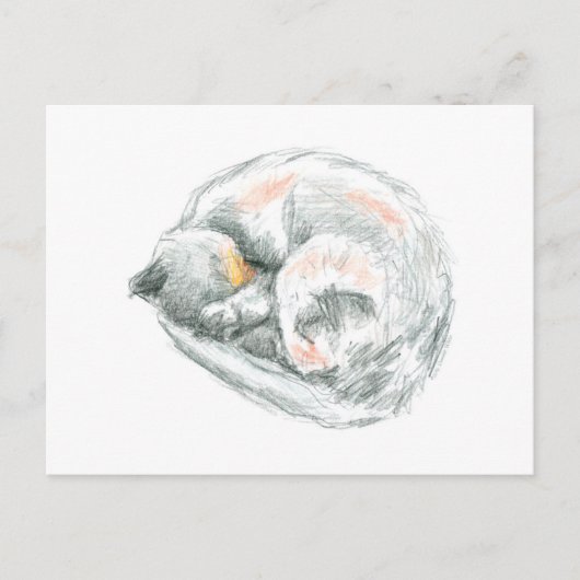 Cat Nap Briefkaart (Voorkant)