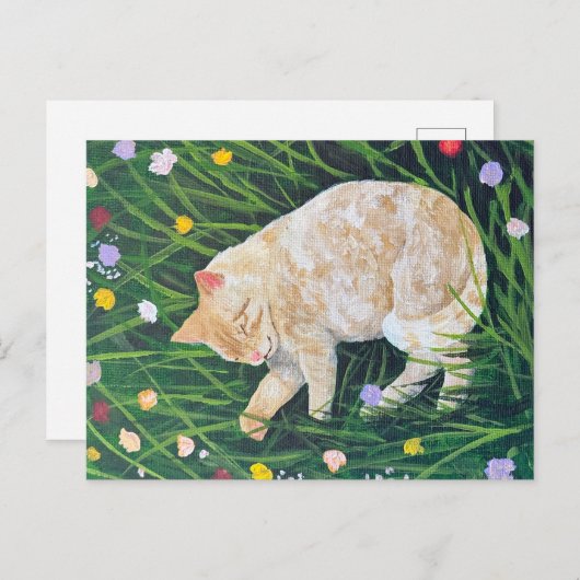 Cat Nap Briefkaart (Voorkant / Achterkant)