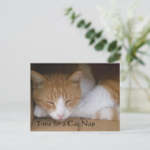 Cat Nap Briefkaart (Staand voorkant)