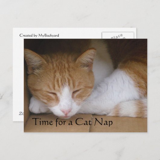 Cat Nap Briefkaart (Voorkant / Achterkant)
