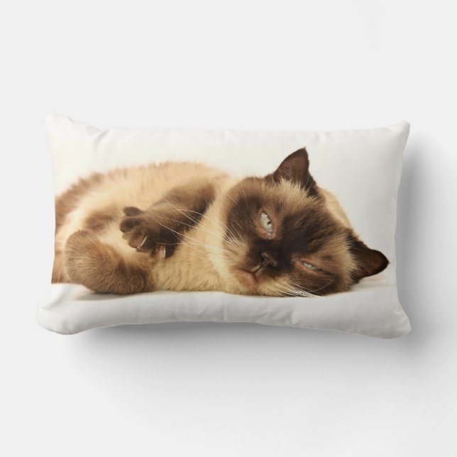Cat Nap Kussen (Voorkant)