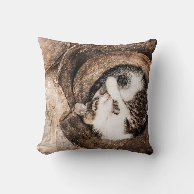 Cat Nap Kussen (Voorkant)