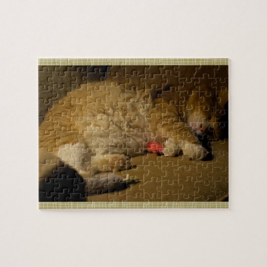 Cat Nap Legpuzzel (Horizontaal)