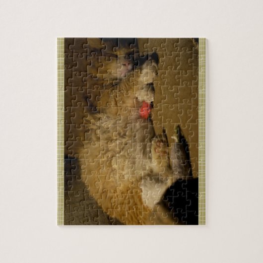 Cat Nap Legpuzzel (Verticaal)