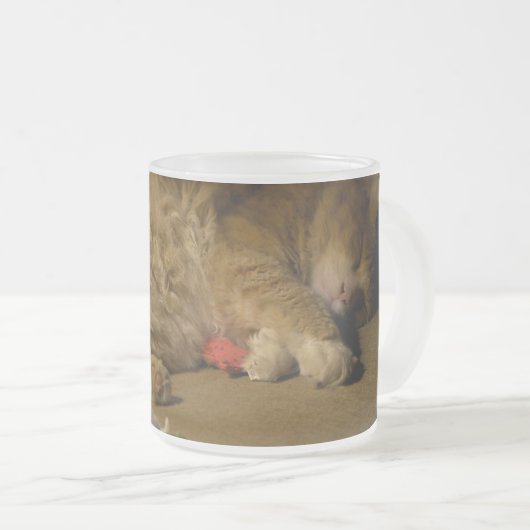 Cat Nap Matglas Koffiemok (Voorkant rechts)