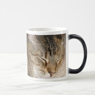 Cat Nap Morph Cup Magische Mok