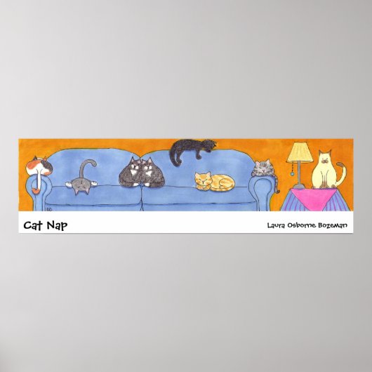 Cat Nap Poster (Voorkant)