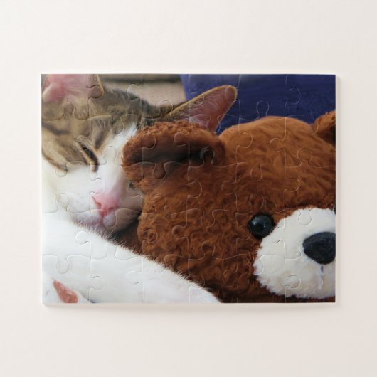 Cat Nap Teddy Legpuzzel (Horizontaal)