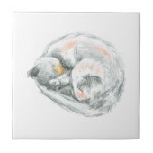 Cat Nap Tegeltje (Voorkant)