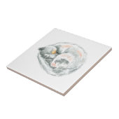 Cat Nap Tegeltje (Zijkant)