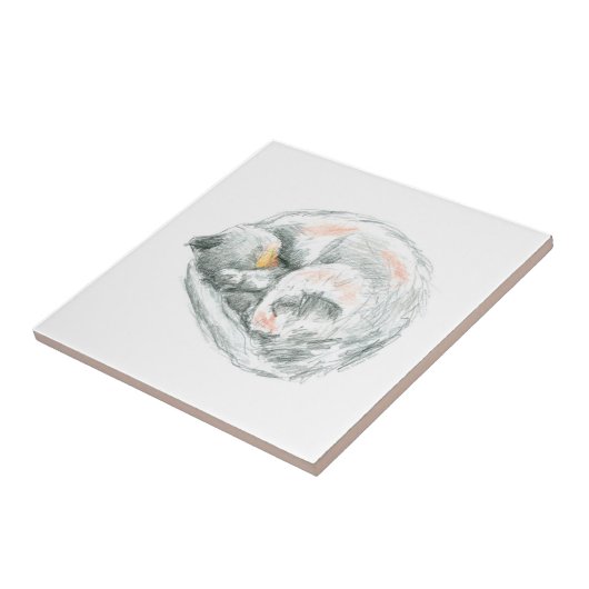 Cat Nap Tegeltje (Zijkant)