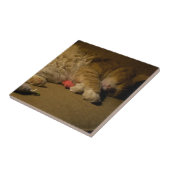 Cat Nap Tegeltje (Zijkant)
