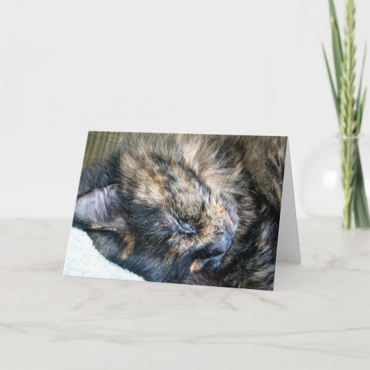 Cat Nap Wenskaart Kaart (Voorkant)