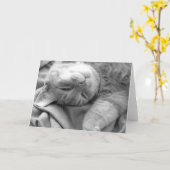 Cat Nap Wenskaarten Kaart (Gele Bloem)