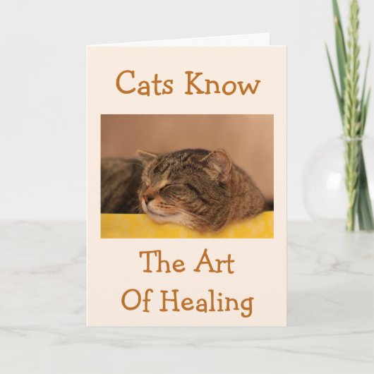 Cat Nap Wisdom krijgt goede Kaart (Voorkant)