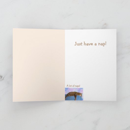 Cat Nap Wisdom krijgt goede Kaart (Binnen)