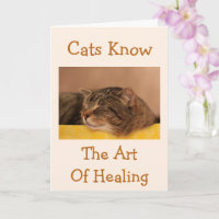 Cat Nap Wisdom krijgt goede Kaart