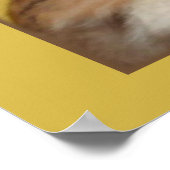 Cat Napels Poster (Hoek)