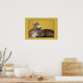 Cat Napels Poster (Keuken)