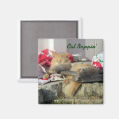 Cat Nappin' Magnet (Voorkant / Achterkant)