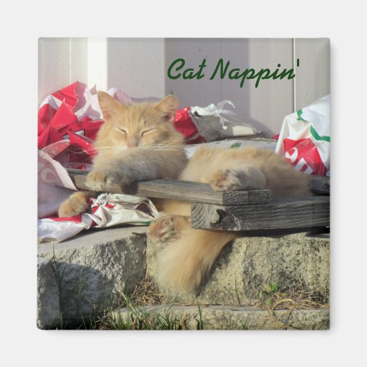 Cat Nappin' Magnet (Voorkant)