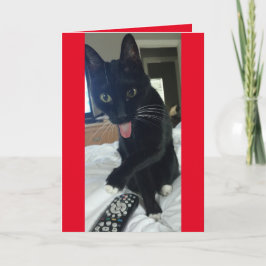 Cat neemt afstand voor grappige Valentijnsdag Feestdagen Kaart