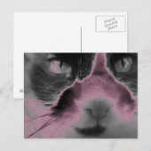 Cat Neon Pink Briefkaart (Voorkant / Achterkant)