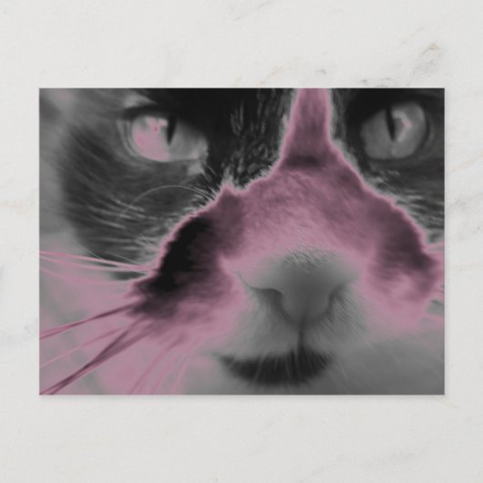 Cat Neon Pink Briefkaart (Voorkant)