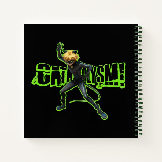 Cat Noir | Cataclysme Notitieboek (Achterkant)