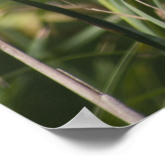 Cat o' 9tails poster (Hoek)