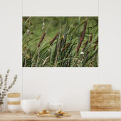 Cat o' 9tails poster (Keuken)