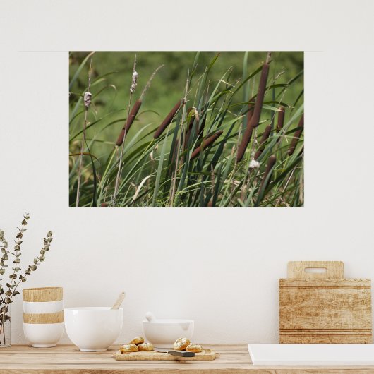 Cat o' 9tails poster (Keuken)