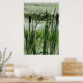 Cat O Nine Tails & White Water Lillys Foto afdrukk Poster (Keuken)