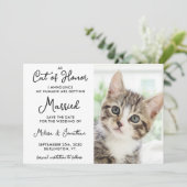 Cat of Honor Custom Pet Photo Casual Wedding Save The Date (Staand voorkant)