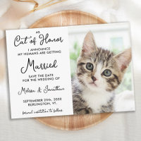 Cat of Honor Custom Pet Photo Casual Wedding