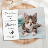 Cat of Honor Personalized Pet Photo Cat Wedding Save The Date