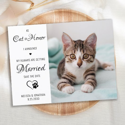 Cat of Honor Pet Wedding Photo Save the Date Aankondigingskaart