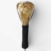 Cat Old Viking.