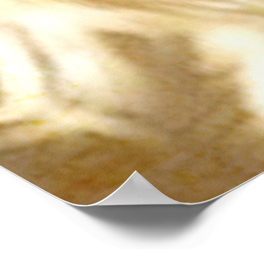 Cat Old Viking. Poster (Hoek)