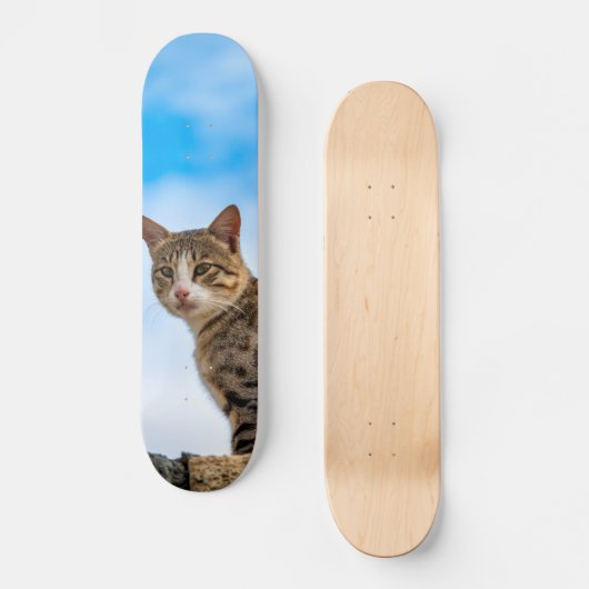 Cat on a wall persoonlijk skateboard (Voorkant)